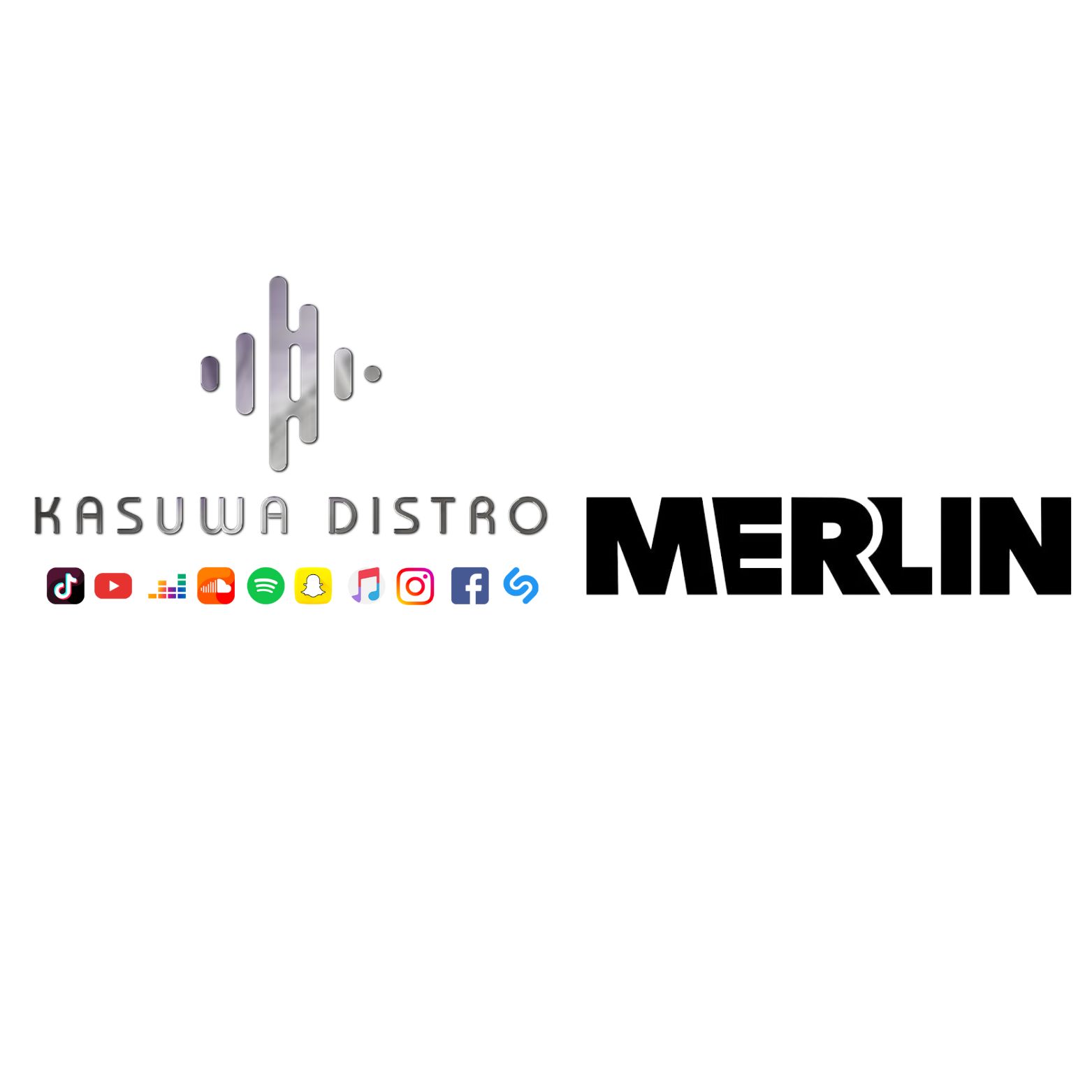 Distribution de Musique